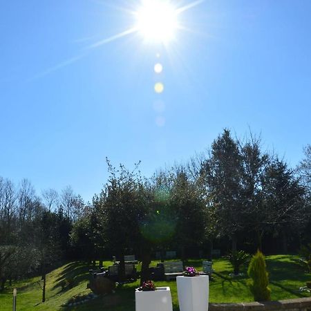 Tenuta Terra Tefra Villa Conca della Campania Luaran gambar