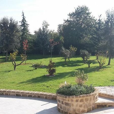 Tenuta Terra Tefra Villa Conca della Campania Luaran gambar