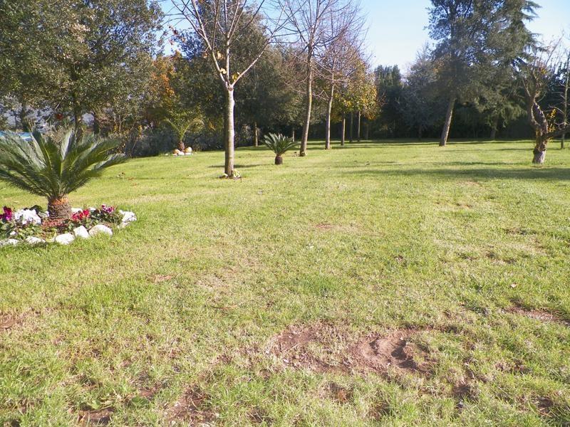 Tenuta Terra Tefra Villa Conca della Campania Luaran gambar